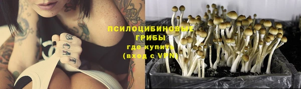 PSILOCYBIN Пересвет