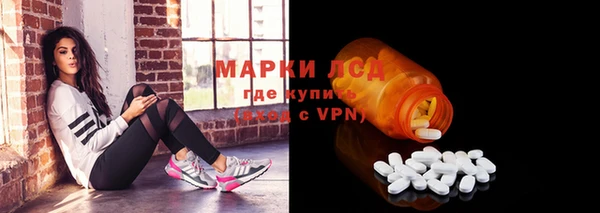 PSILOCYBIN Пересвет