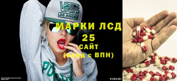 эйфоретик Покачи