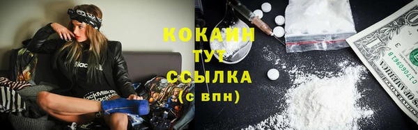 PSILOCYBIN Пересвет