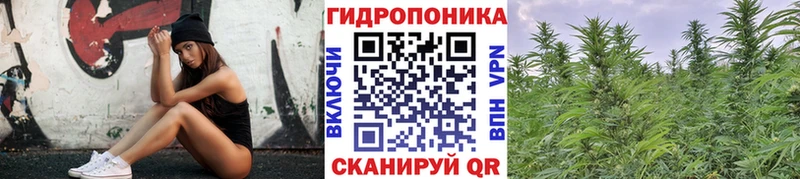 Шишки марихуана гибрид  Купить  Калининград 
